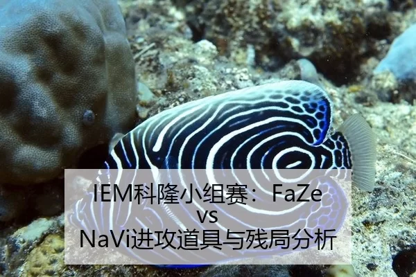 IEM科隆小组赛：FaZe vs NaVi进攻道具与残局分析
